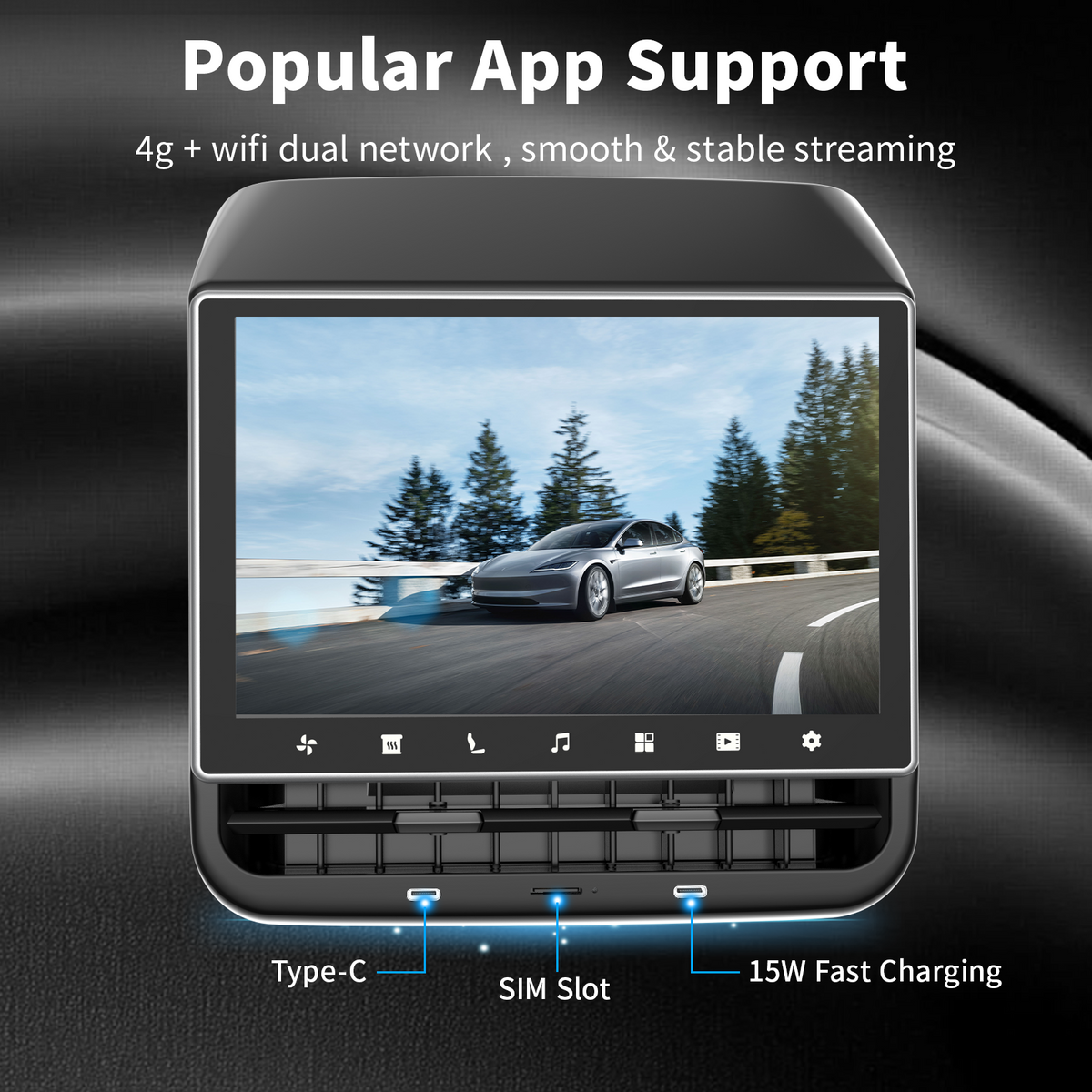 Tesla Popular APP Support